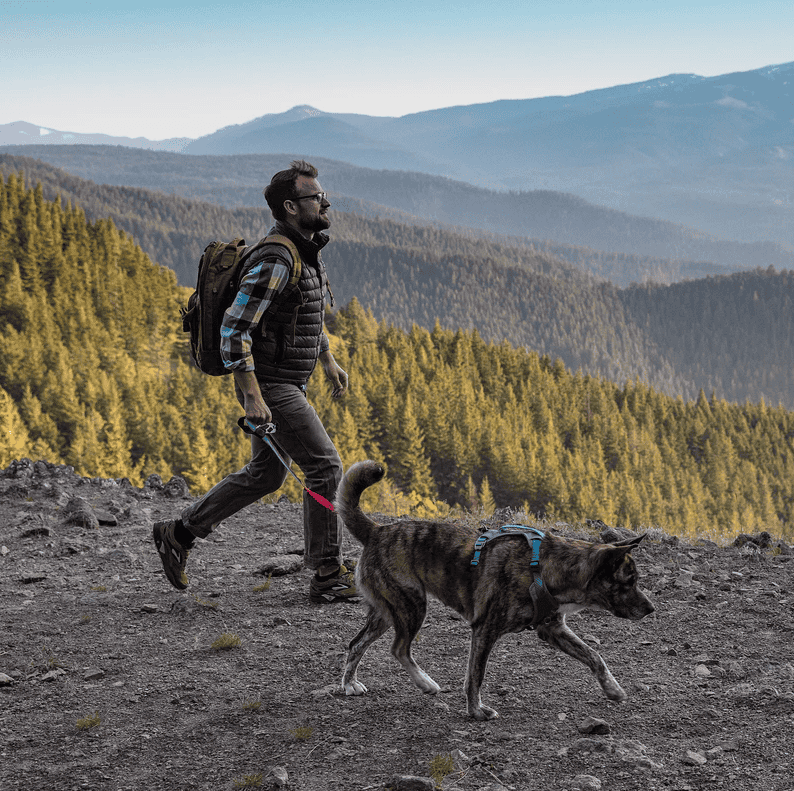 Kurgo Quantum 6-in-1 Leash Reflect & Protect - Blue