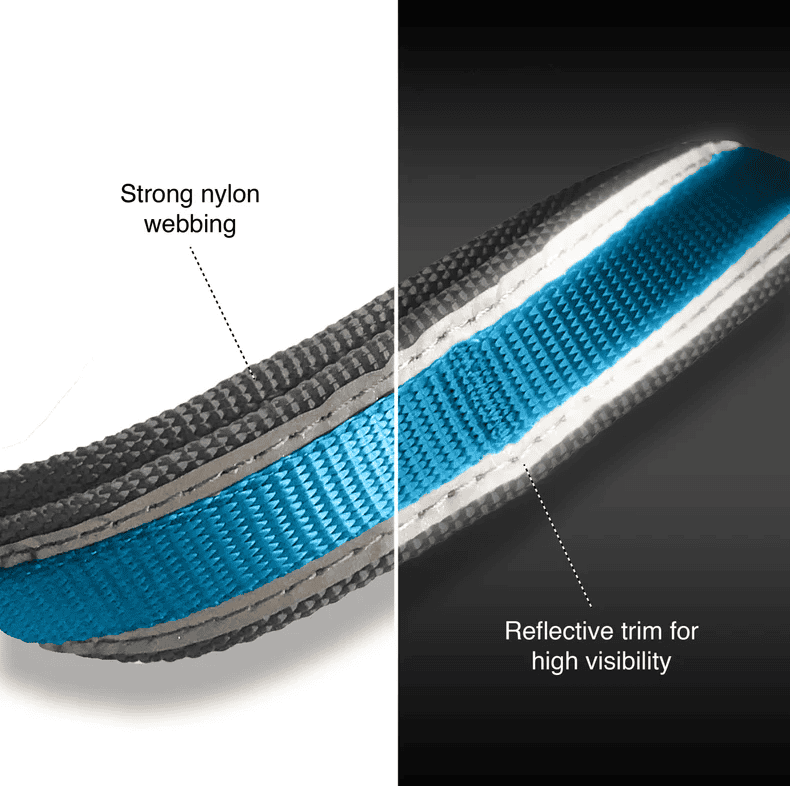 Kurgo Quantum 6-in-1 Leash Reflect & Protect - Blue