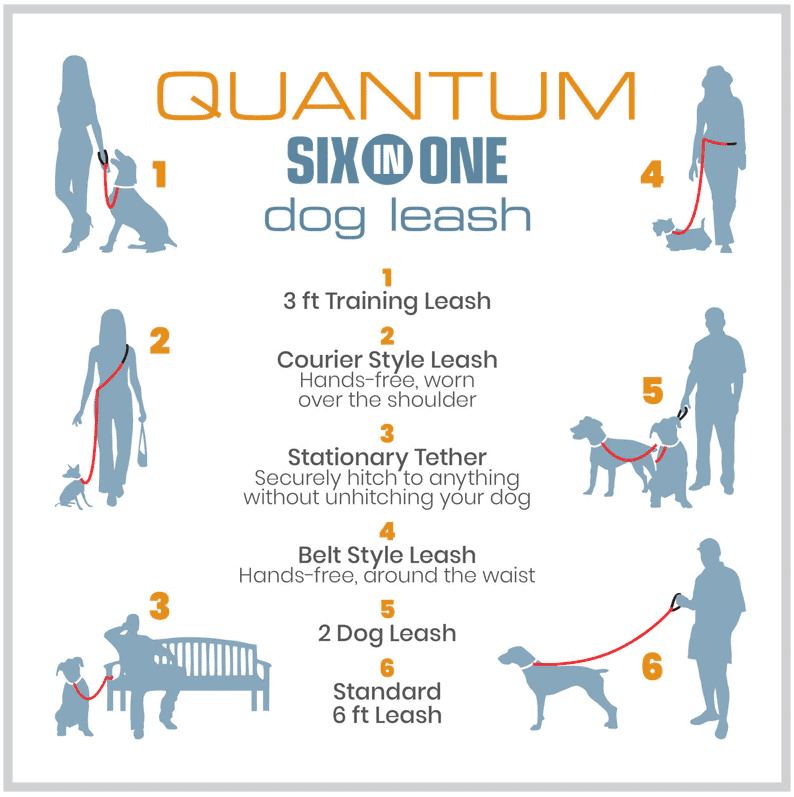 Kurgo Quantum 6-in-1 Leash Reflect & Protect - Blue