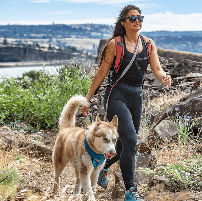 Kurgo Quantum 6-in-1 Leash Reflect & Protect - Blue