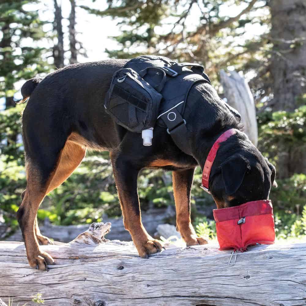 Kurgo Zippy Portable Dog Bowl - Barn Red