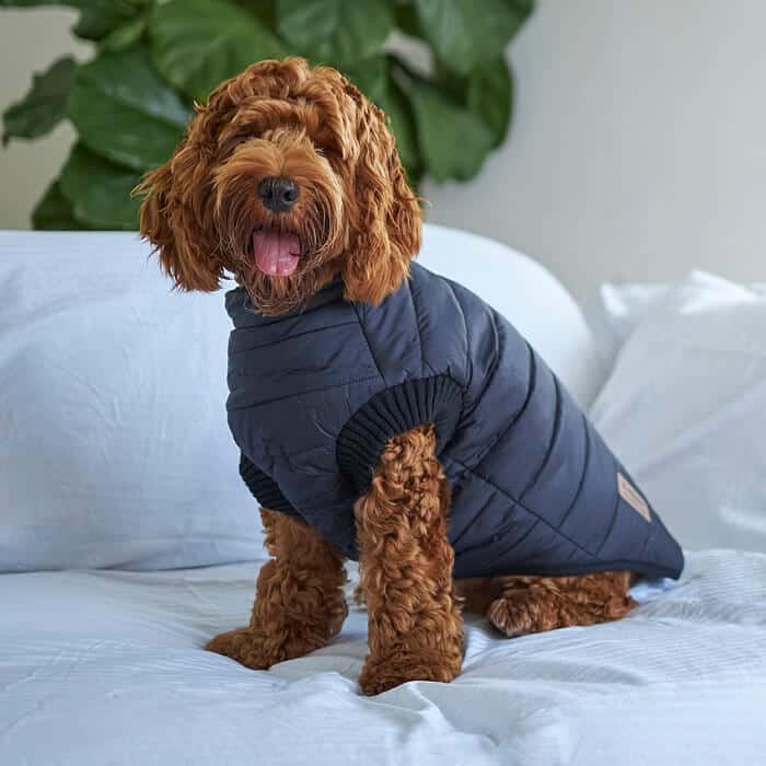 Kazoo Reversible Puffer Dog Coat Black/Silver 53cm