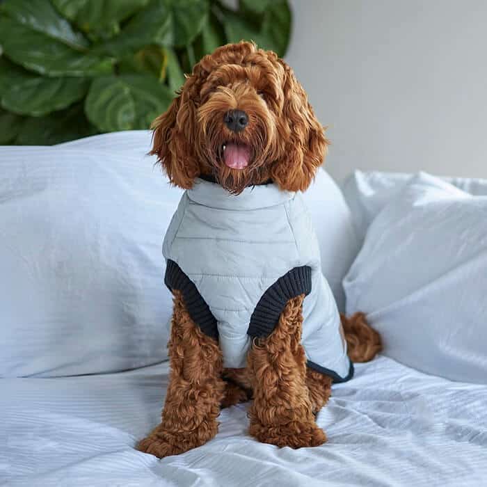 Kazoo Reversible Puffer Dog Coat Black/Silver 53cm