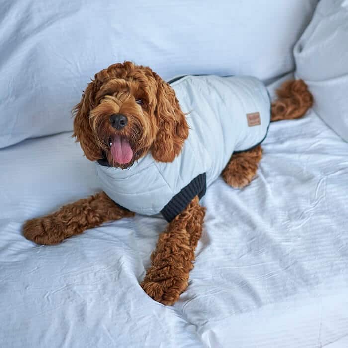 Kazoo Reversible Puffer Dog Coat Black/Silver 53cm
