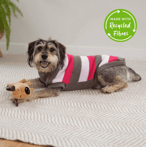 Kazoo Chestie Dog Jumper - Pink
