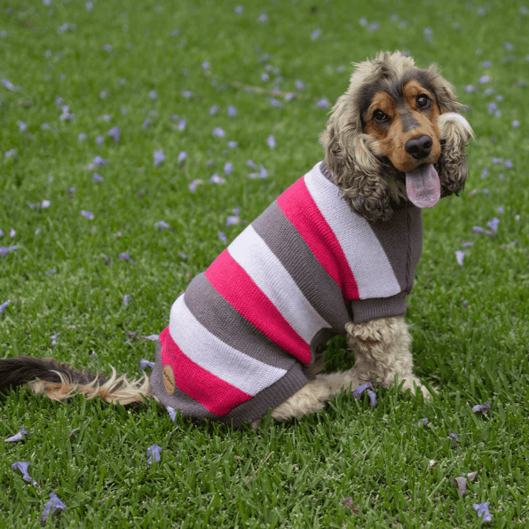 Kazoo Chestie Dog Jumper - Pink