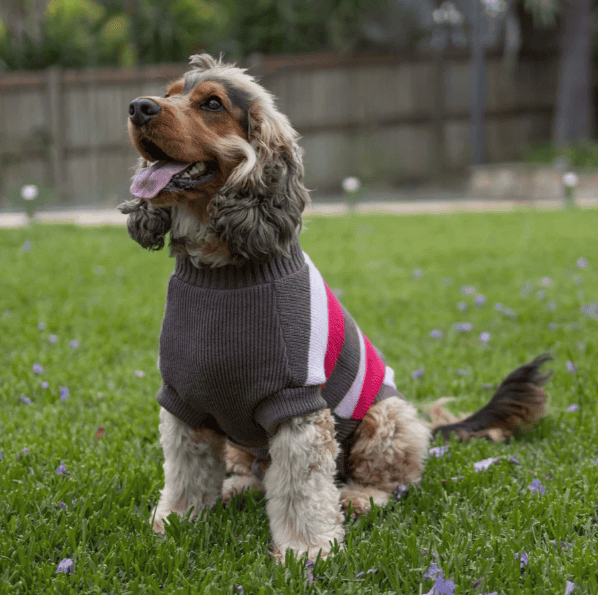 Kazoo Chestie Dog Jumper - Pink