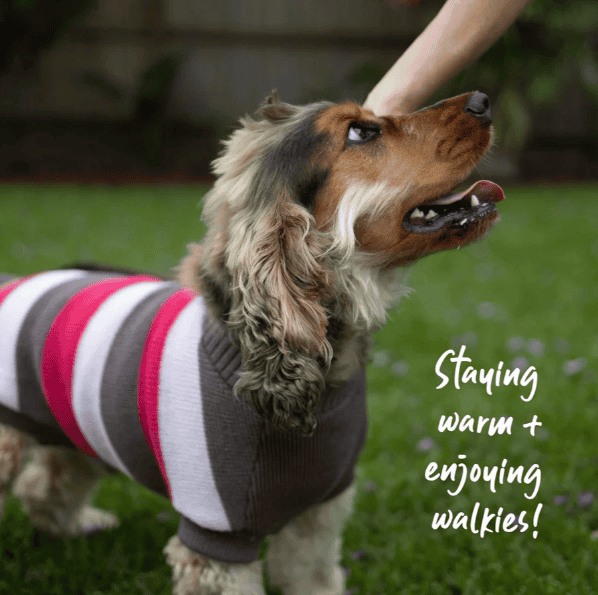 Kazoo Chestie Dog Jumper - Pink
