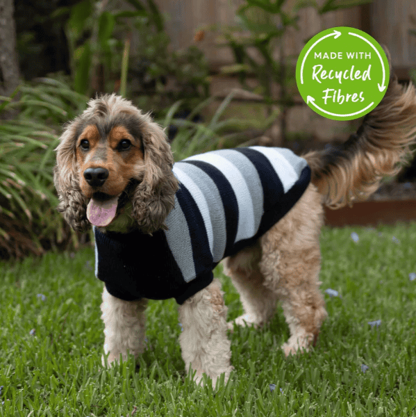 Kazoo Chestie Dog Jumper - Blue