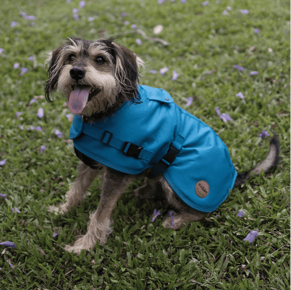 Kazoo Adventure Dog Coat with Harness Hatch - Blue Medium