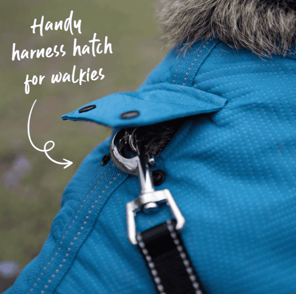 Kazoo Adventure Dog Coat with Harness Hatch - Blue Medium