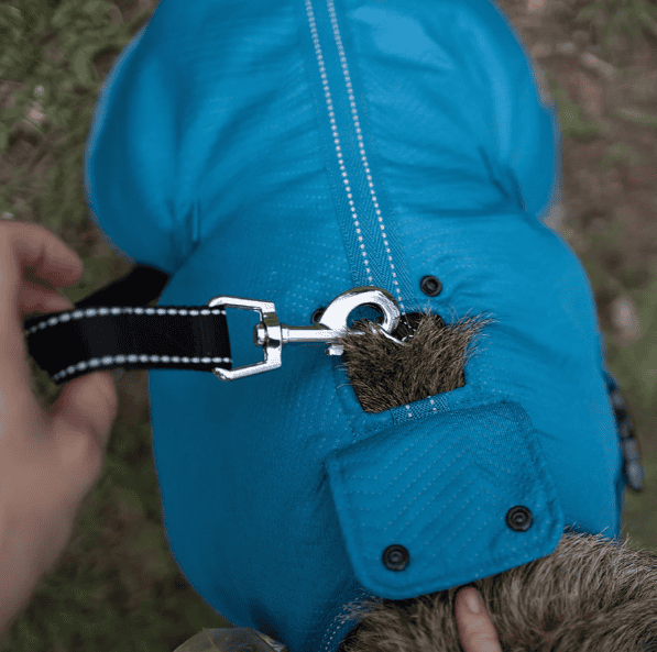 Kazoo Adventure Dog Coat with Harness Hatch - Blue Medium