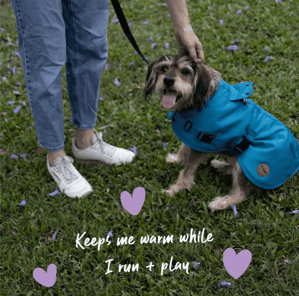 Kazoo Adventure Dog Coat with Harness Hatch - Blue Medium