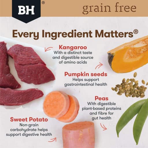 Black Hawk Grain Free Kangaroo