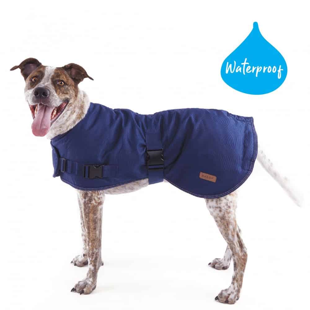 Kazoo Adventure Dog Coat Blue