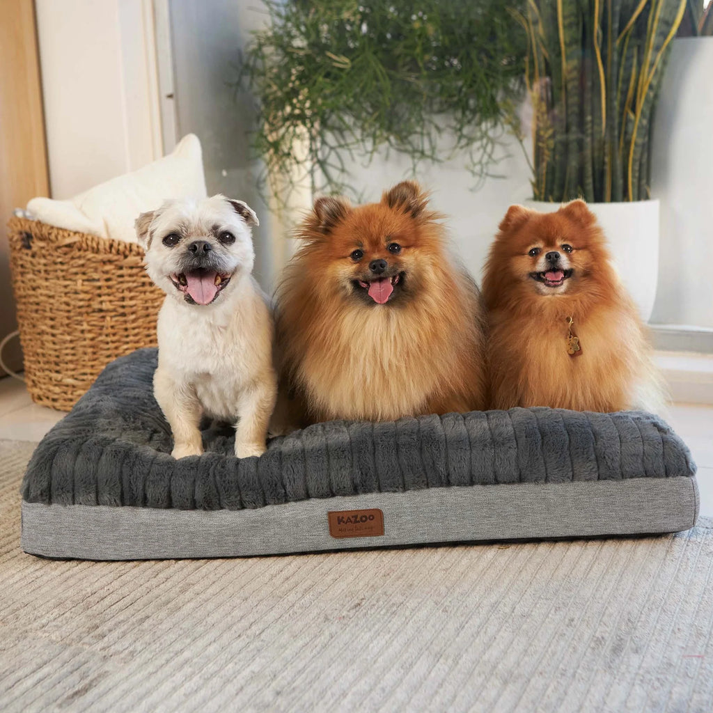 Kazoo Dark Cloud Comfort Bed