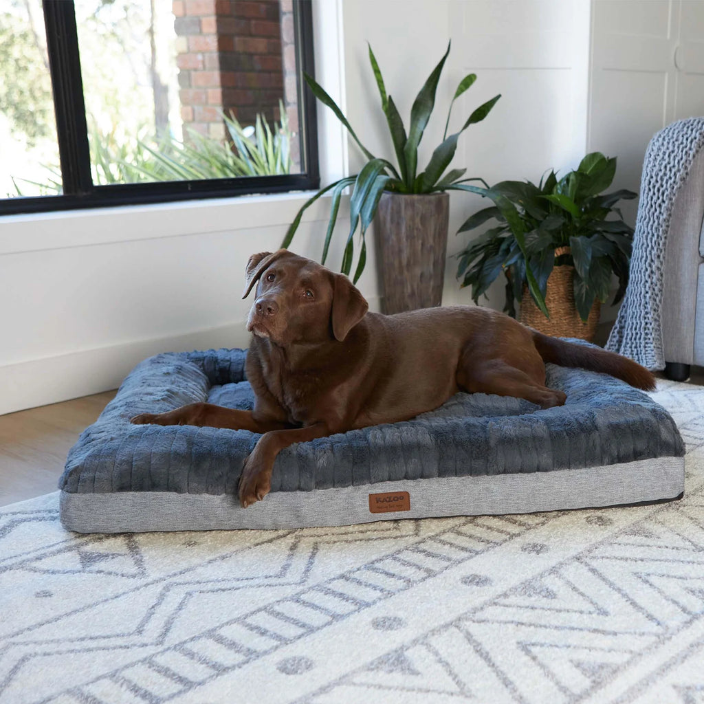 Kazoo Dark Cloud Comfort Bed