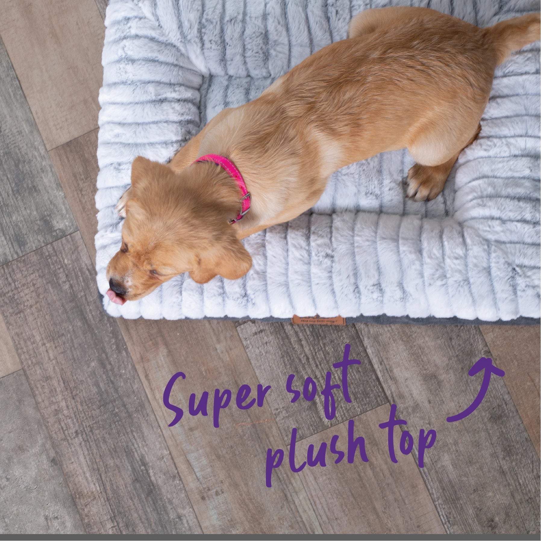 Kazoo Cloud Comfort Bed - Grey