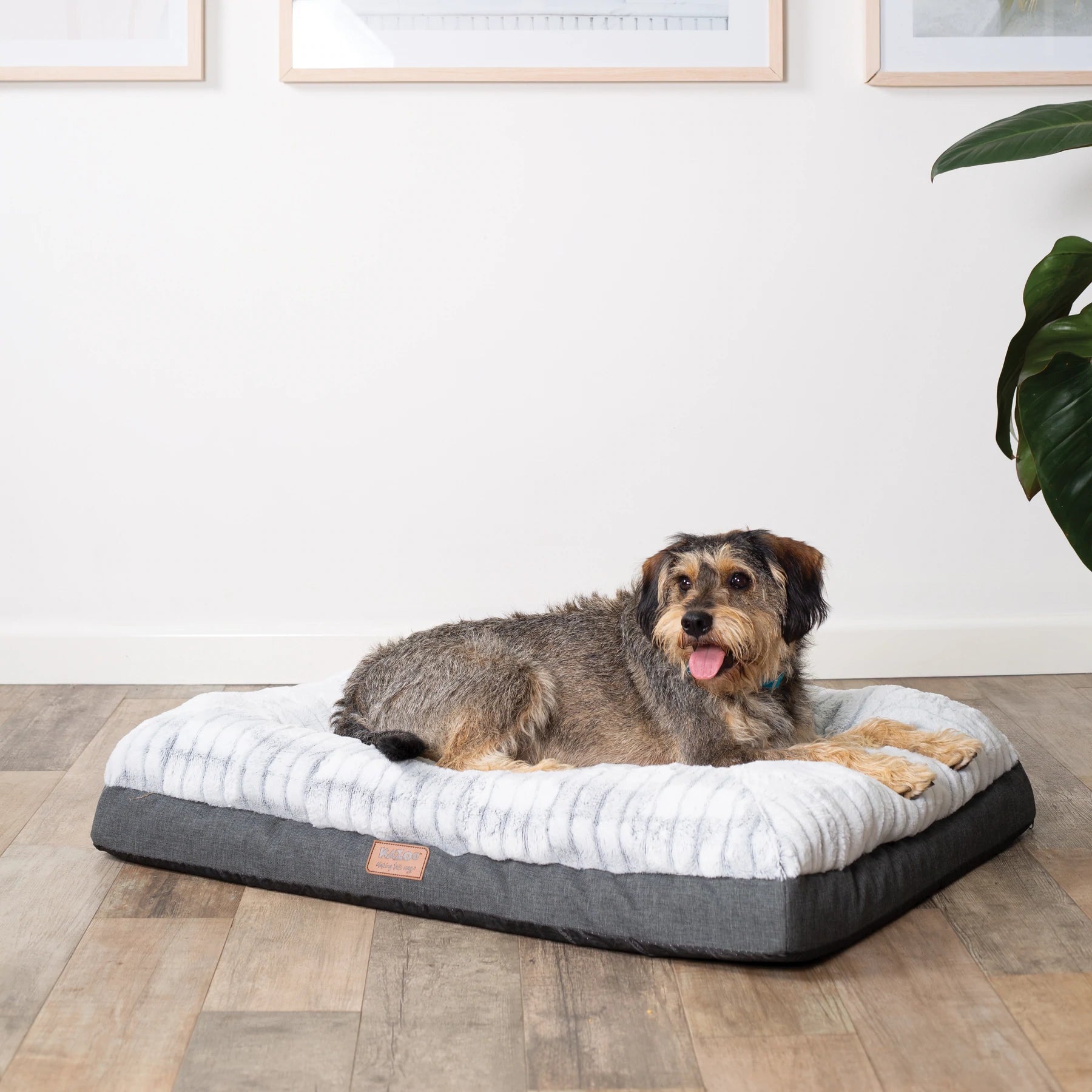 Kazoo Cloud Comfort Bed - Grey