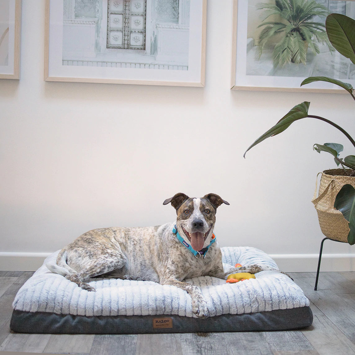 Kazoo Cloud Comfort Bed - Grey