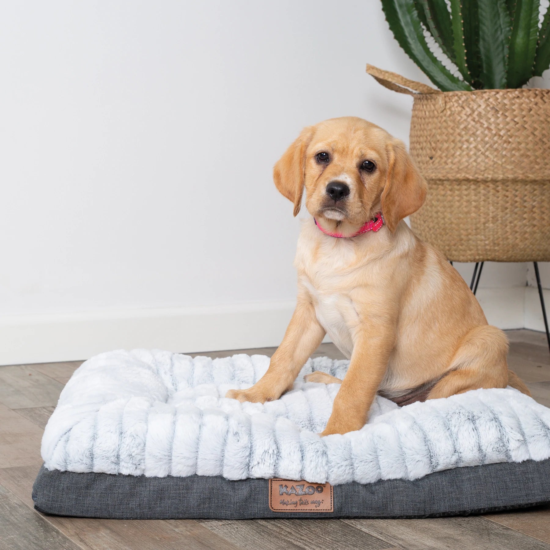 Kazoo Cloud Comfort Bed - Grey