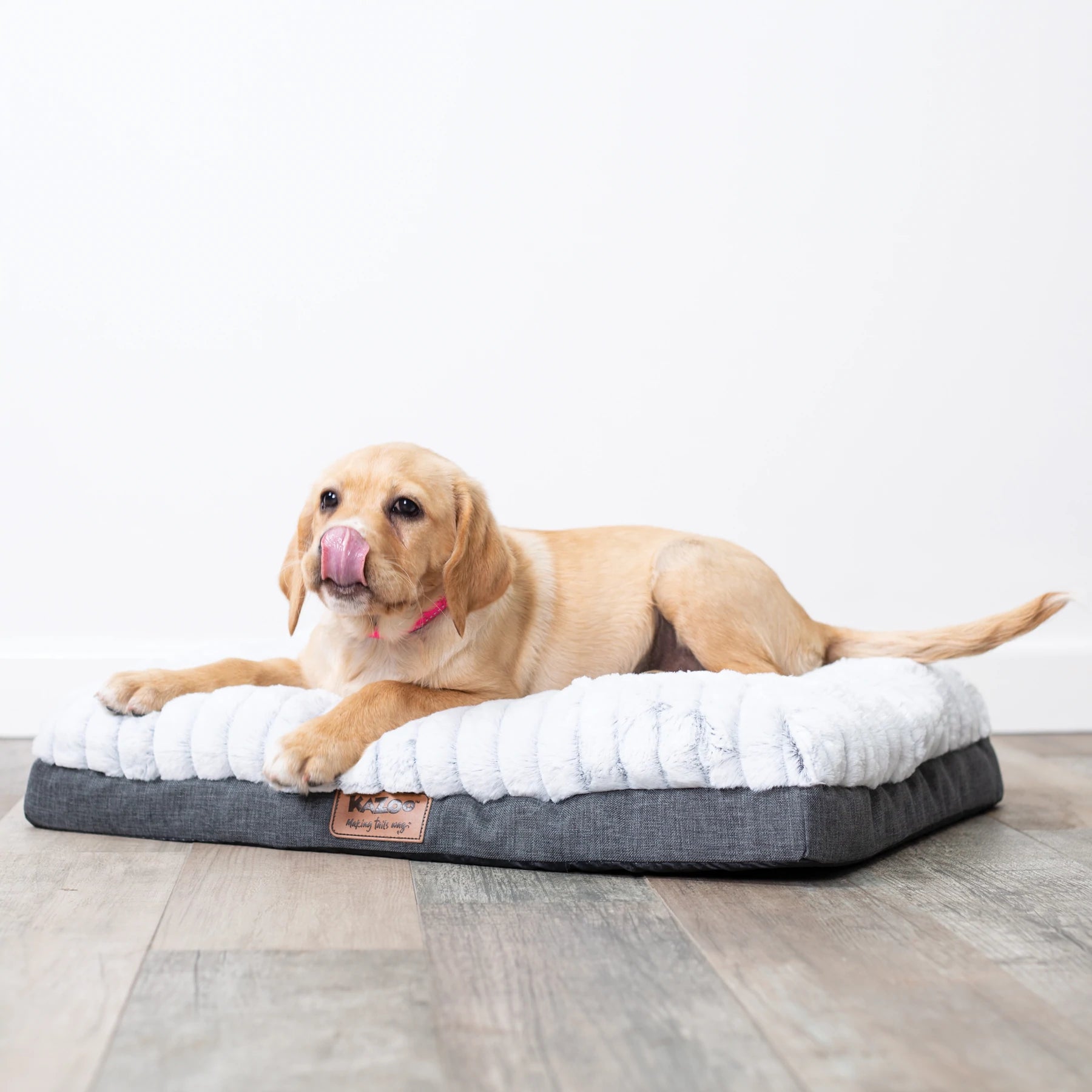 Kazoo Cloud Comfort Bed - Grey