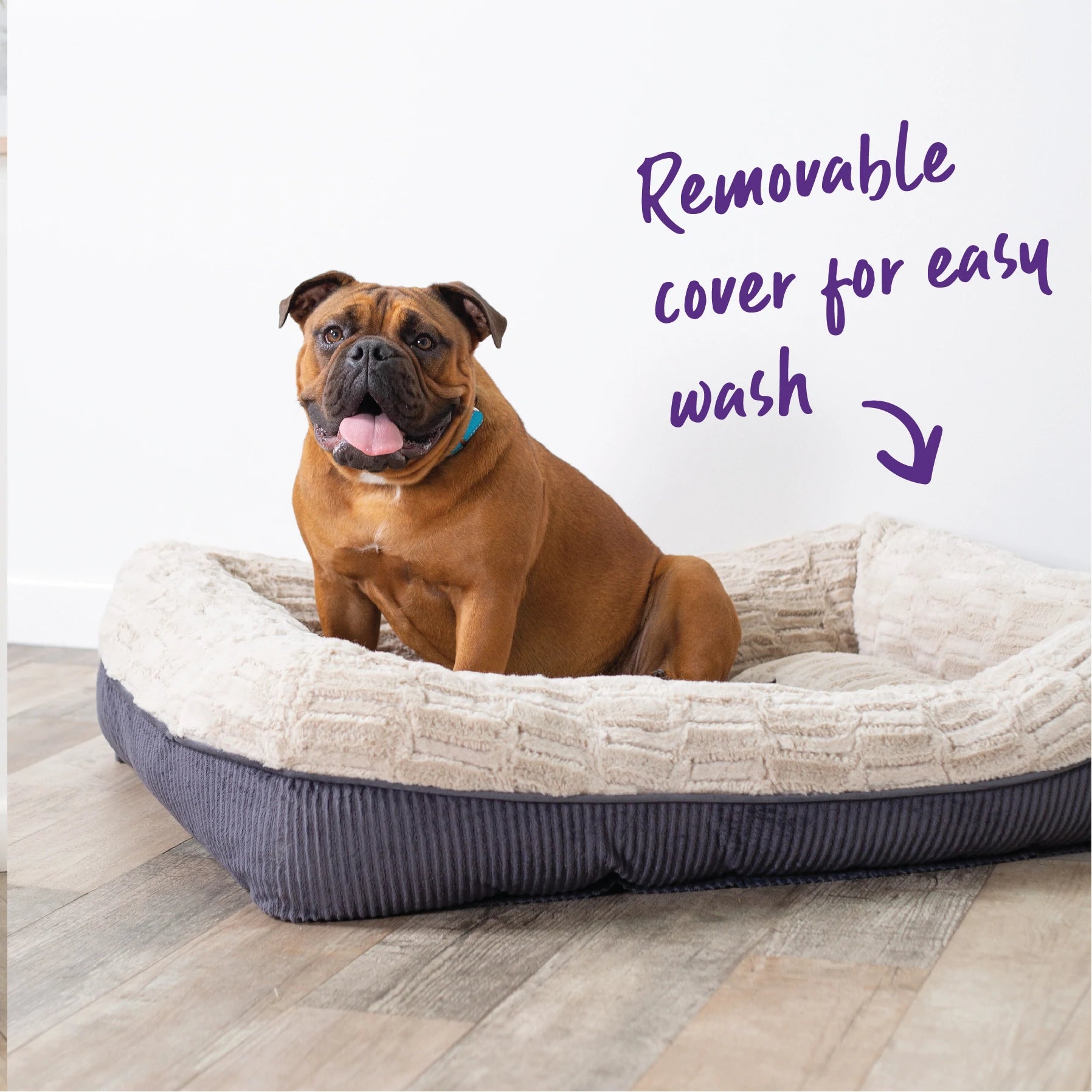 Kazoo Possum Bed For Dogs