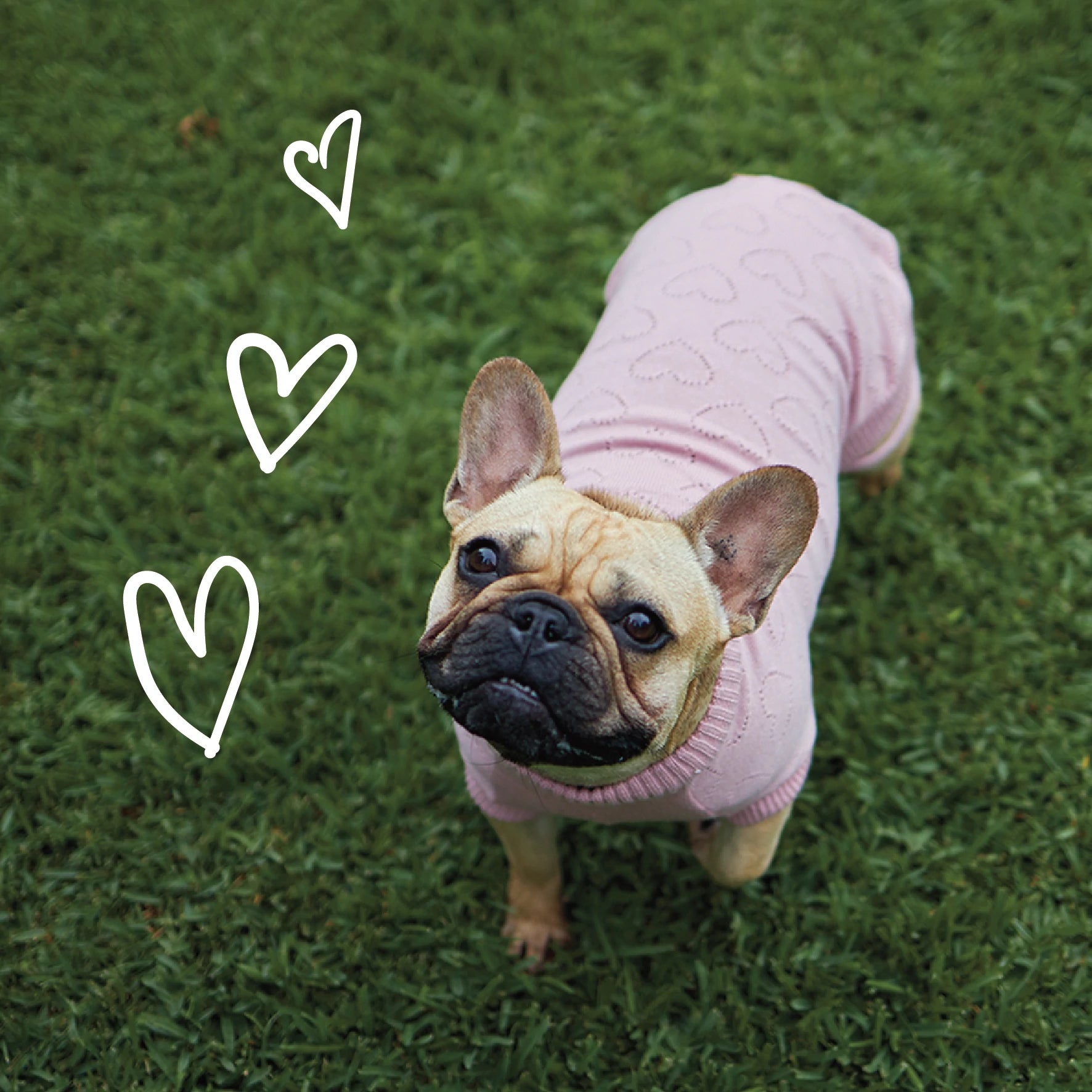 Kazoo Heart Knit Jumper