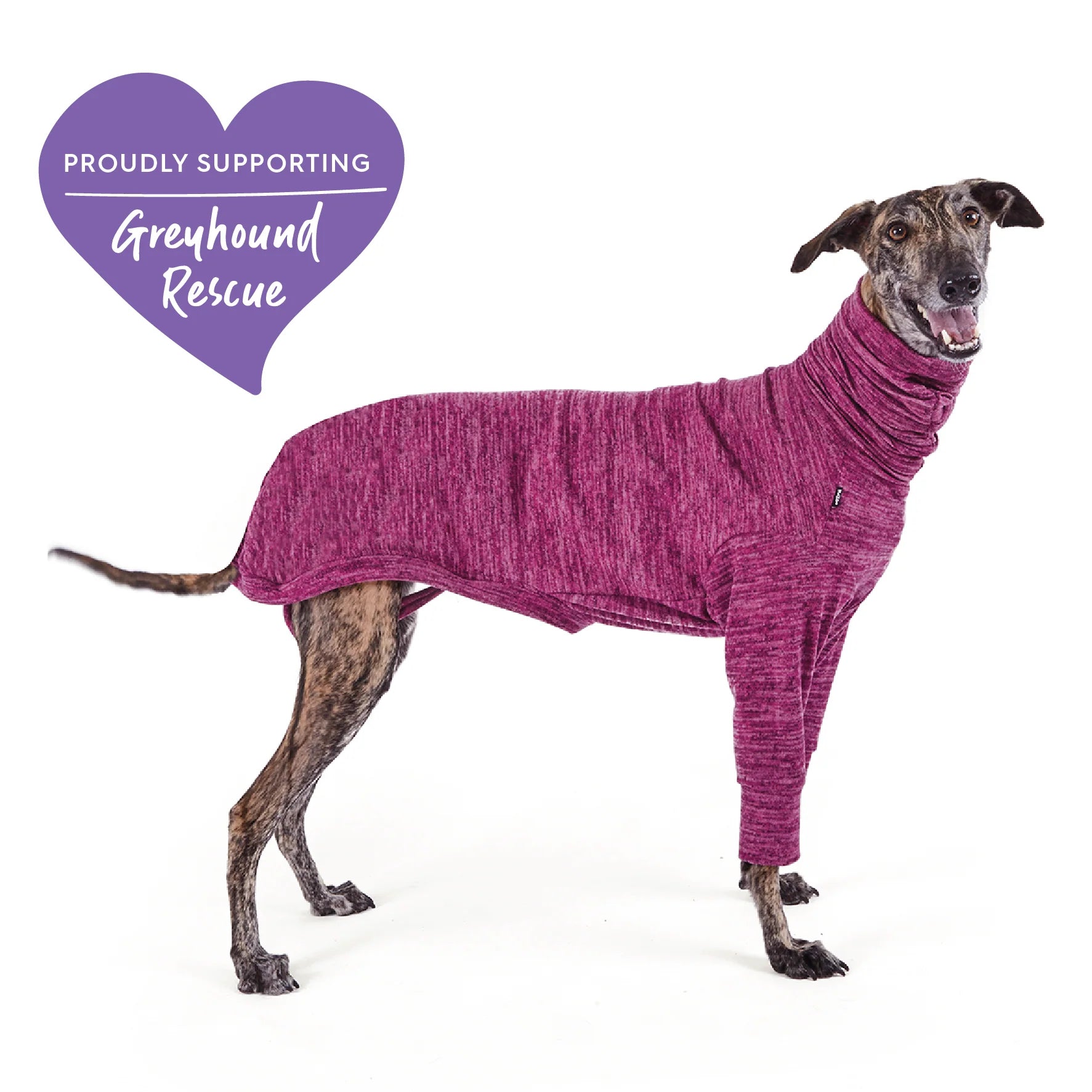 Kazoo Greyhound Softie Dog Jumper XS- Mulberry