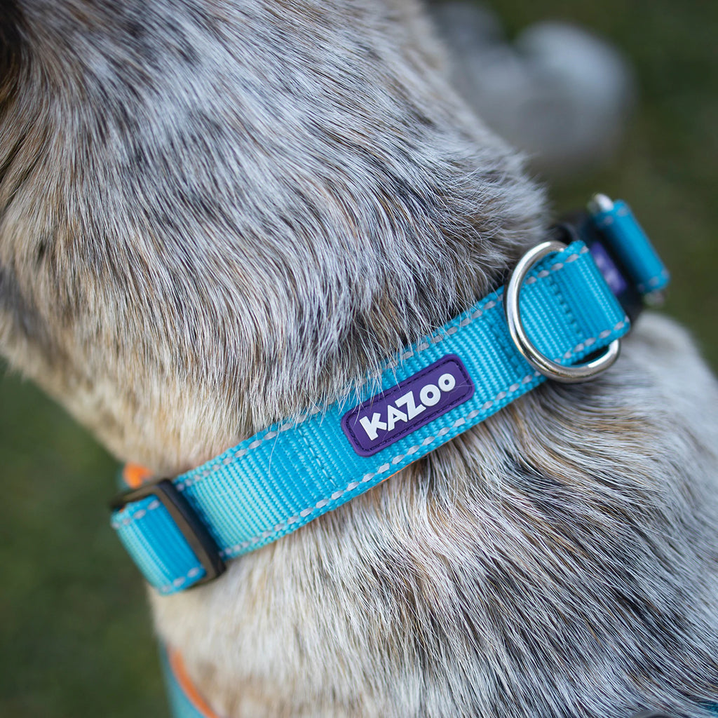 Kazoo Easy-Clip Collar - Active