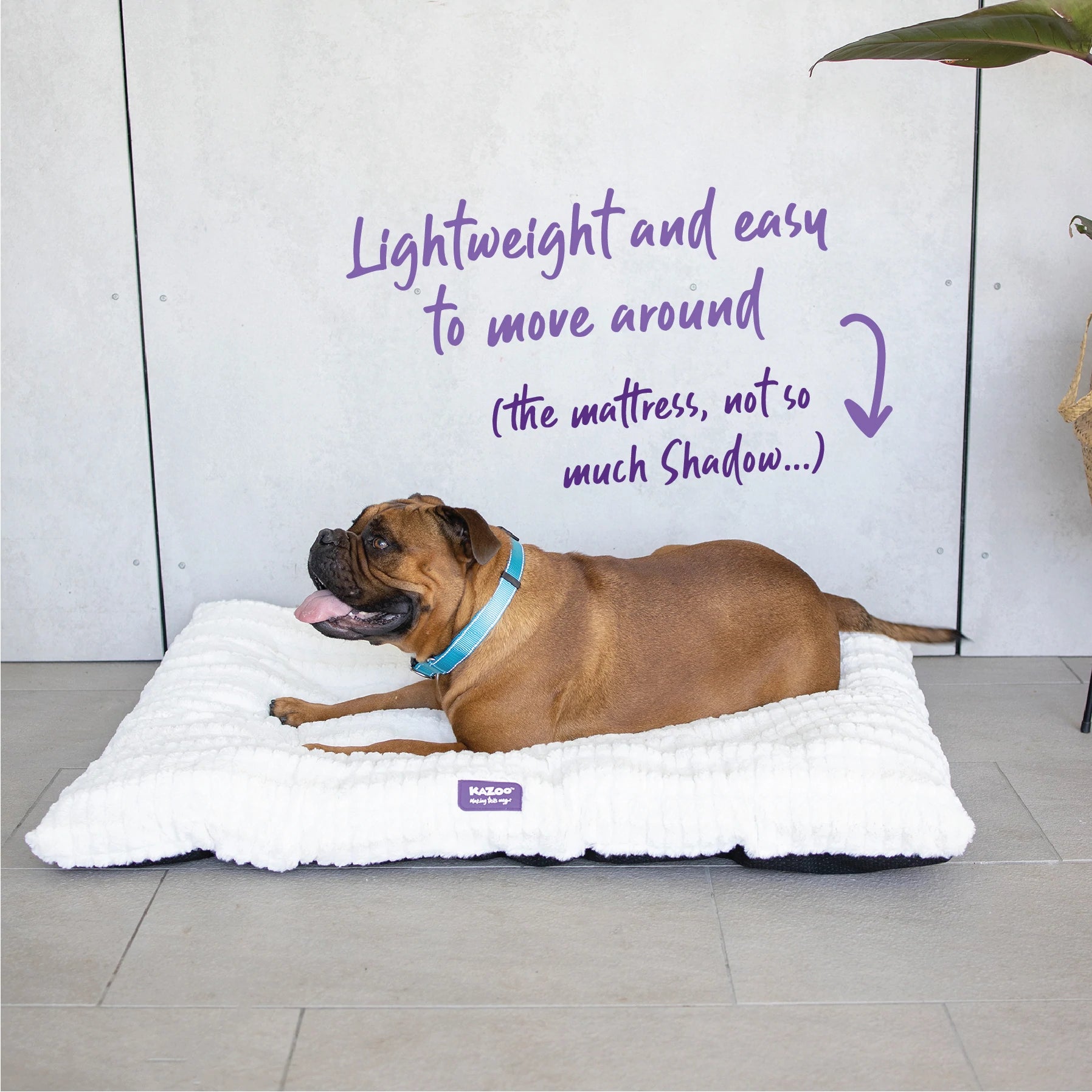 Kazoo Cloud Pillow Bed - Cream