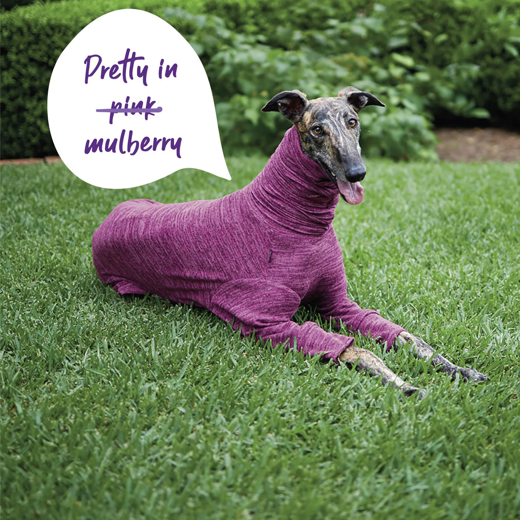 Kazoo Greyhound Softie Dog Jumper XS- Mulberry
