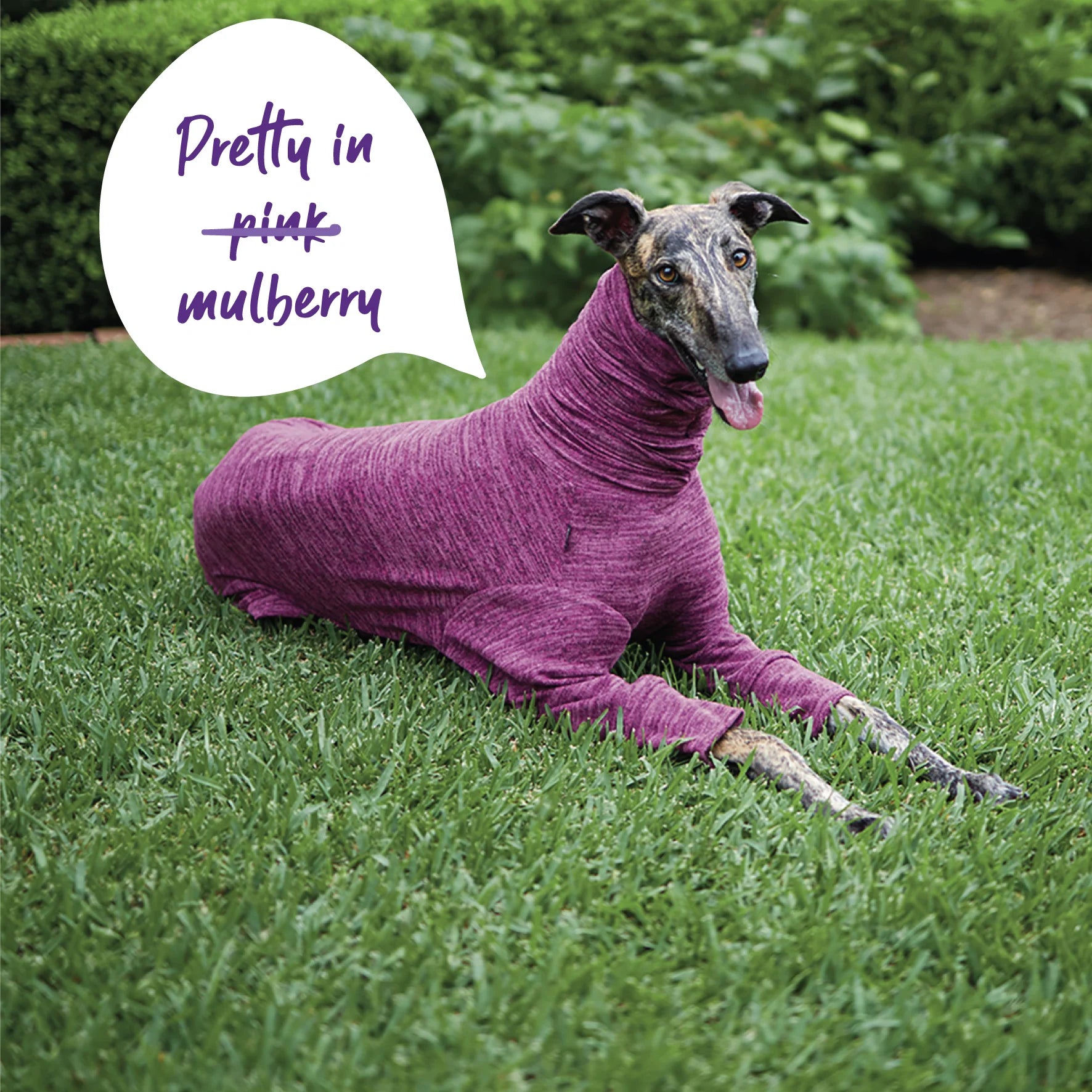 Kazoo Greyhound Softie Dog Jumper XS- Mulberry