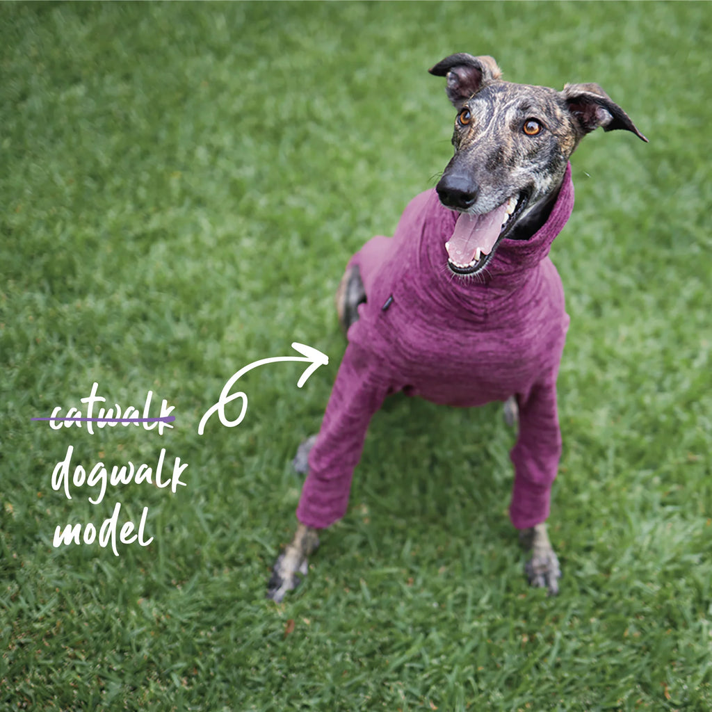 Kazoo Greyhound Softie Dog Jumper XS- Mulberry