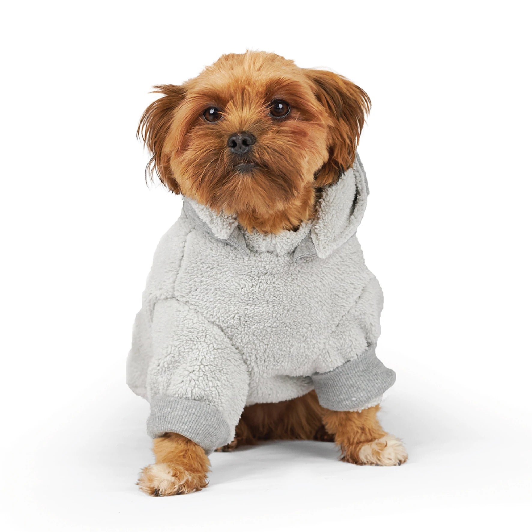 Kazoo Koala Cuddles Dog Jumper