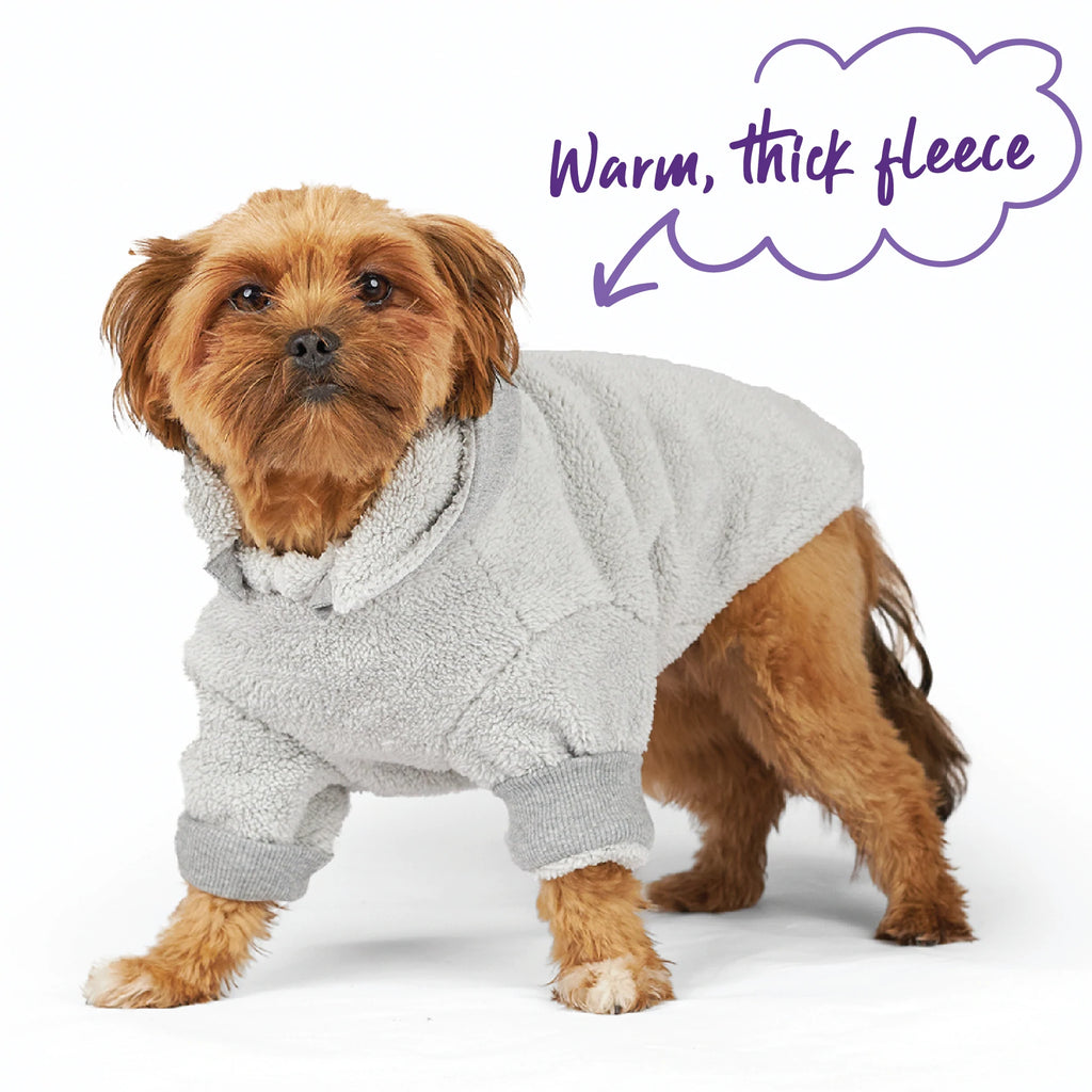 Kazoo Koala Cuddles Dog Jumper
