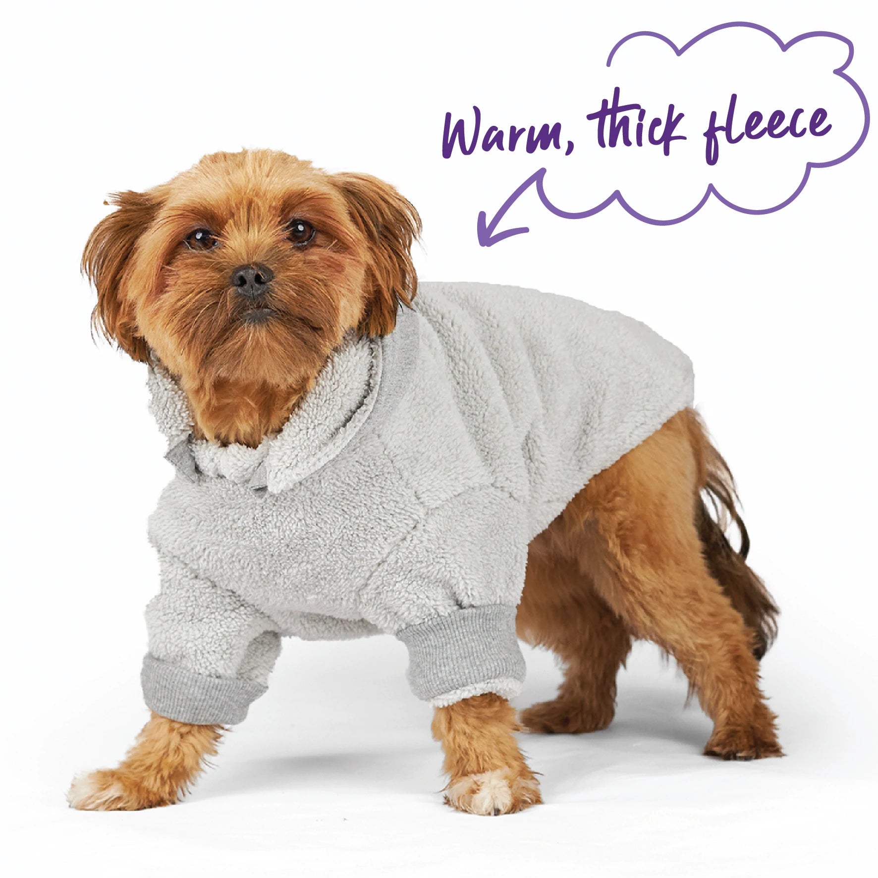 Kazoo Koala Cuddles Dog Jumper