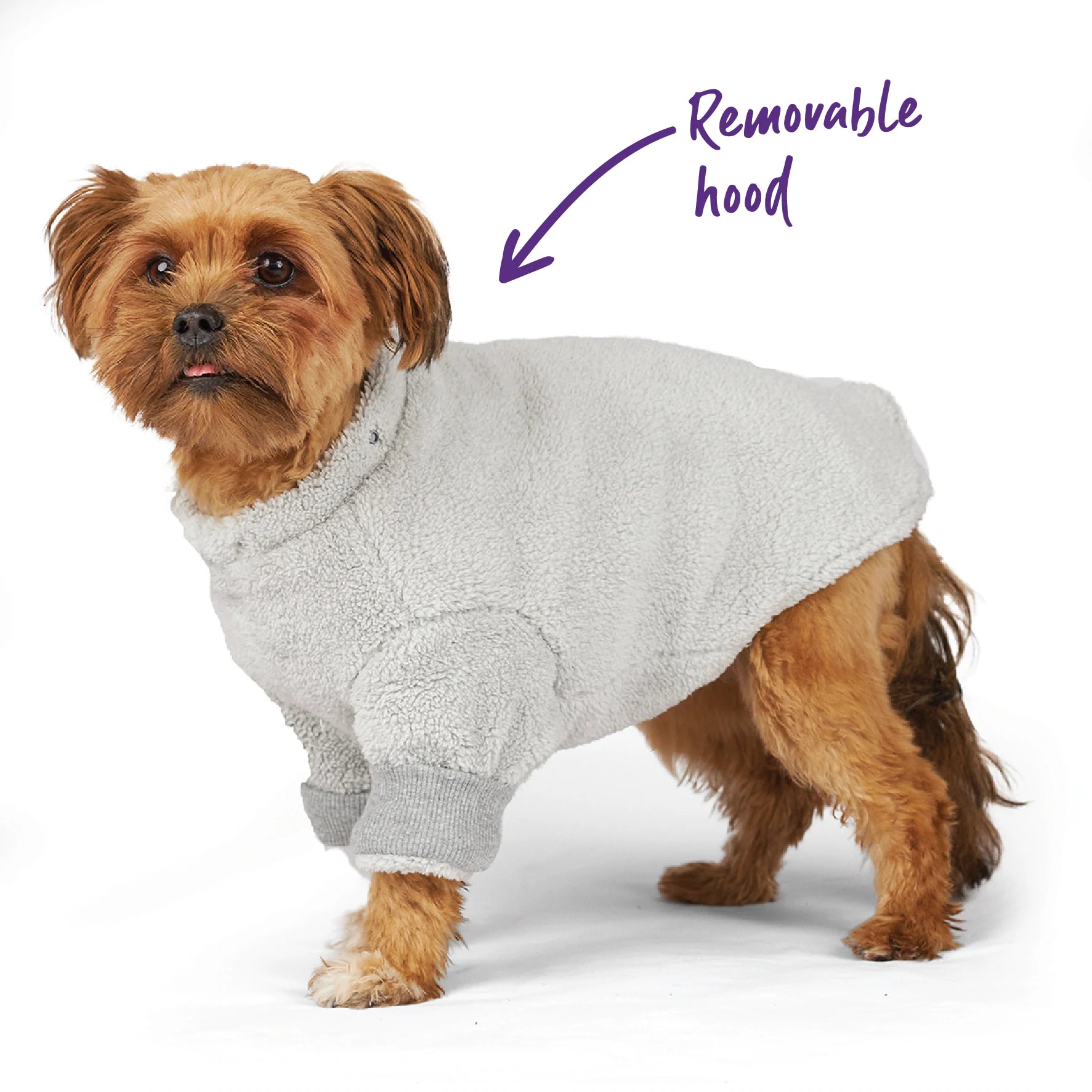 Kazoo Koala Cuddles Dog Jumper