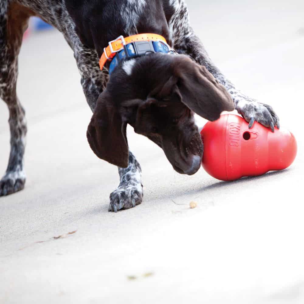 KONG Dog Wobbler