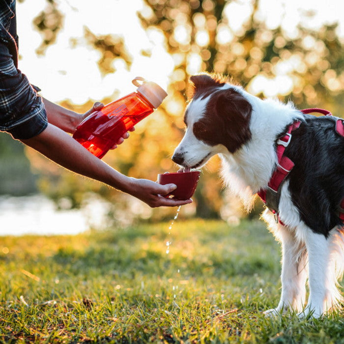 Kurgo Gourd H2O Bottle & Bowl