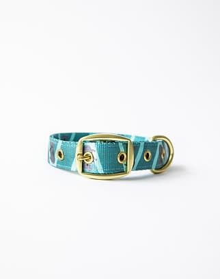 Anipal Kylo the Koala Dog Collar