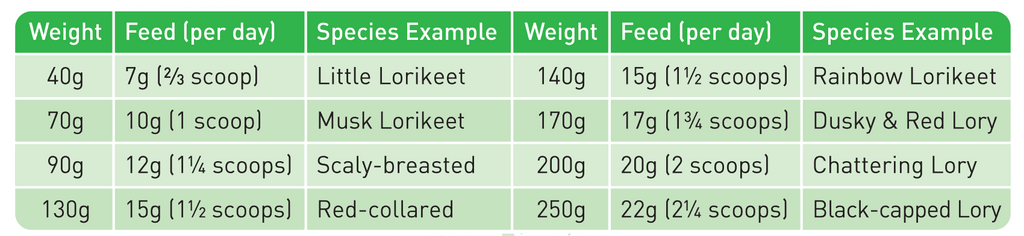 PASSWELL COMPLETE LORIKEET