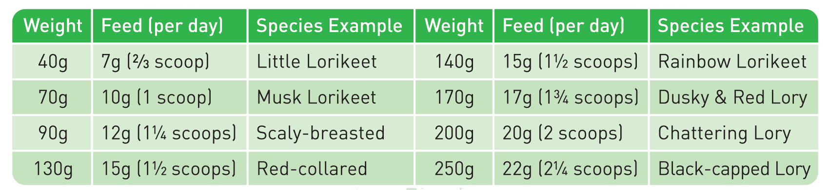 PASSWELL COMPLETE LORIKEET