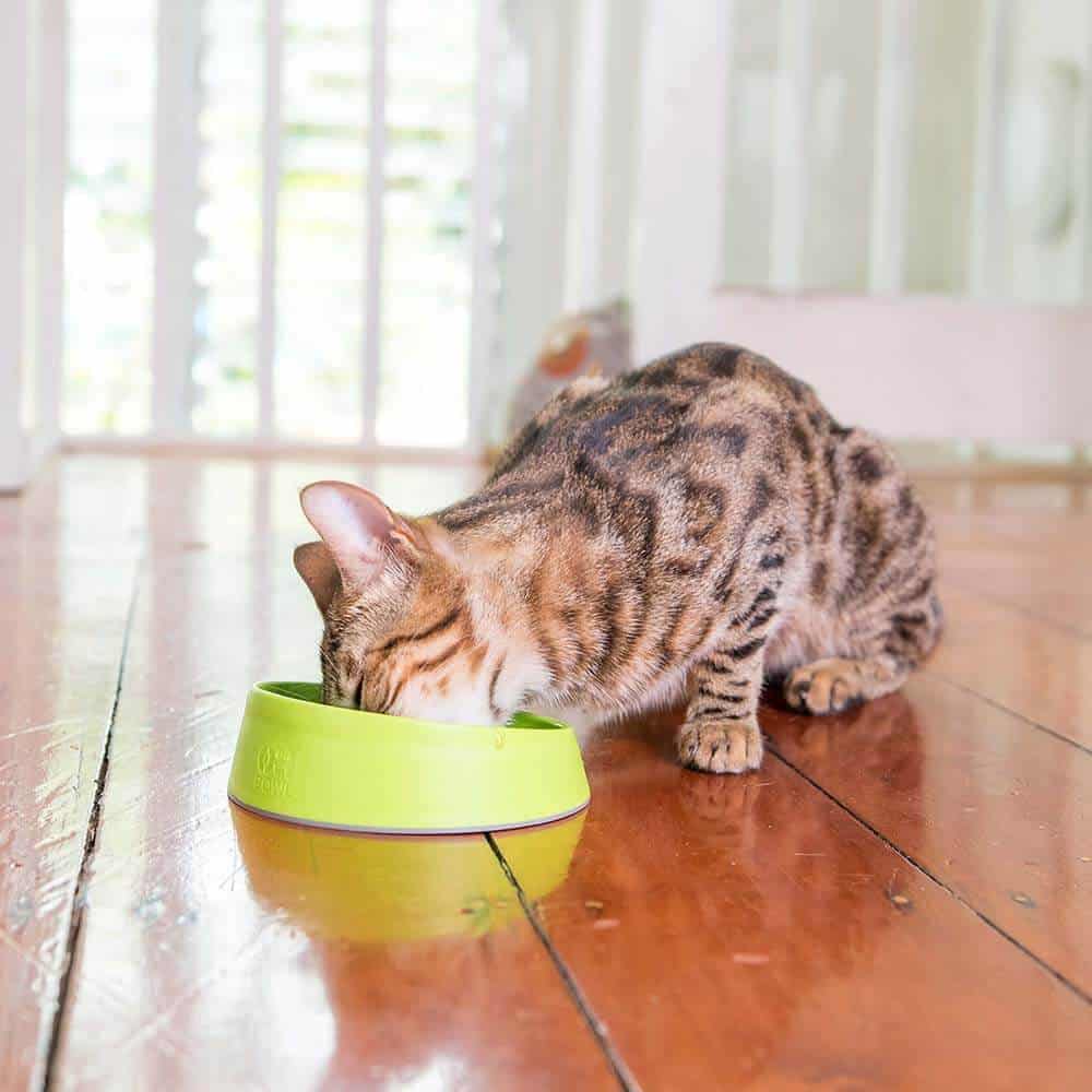 Lickimat Oh Bowl Hairball Control Cat Food Bowl