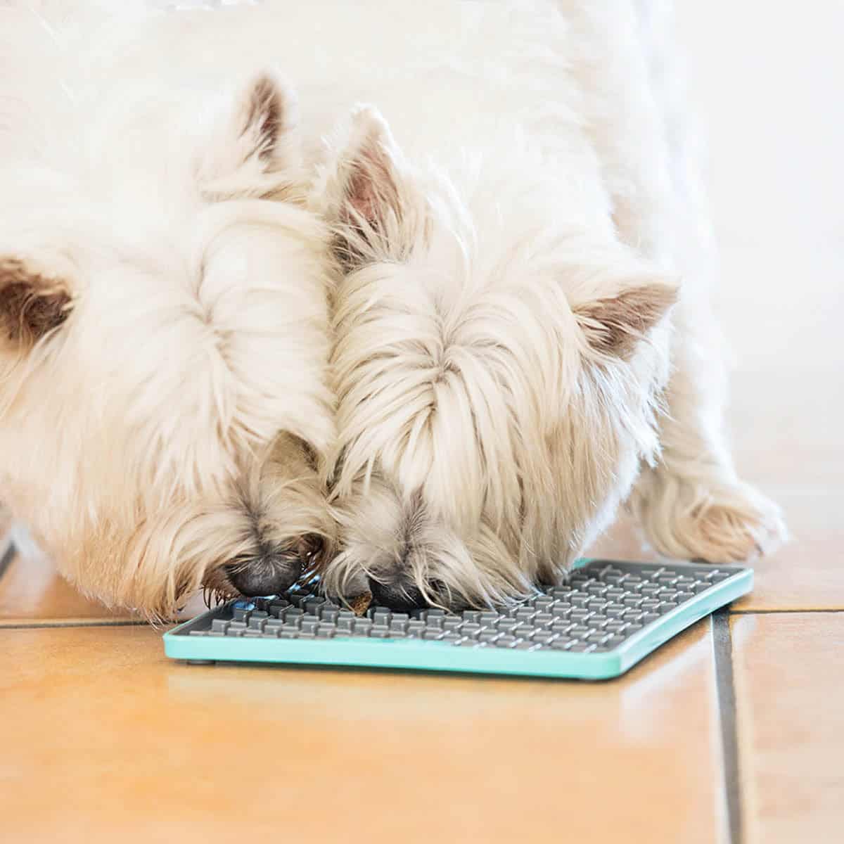 Lickimat Dog Tuff Playdate