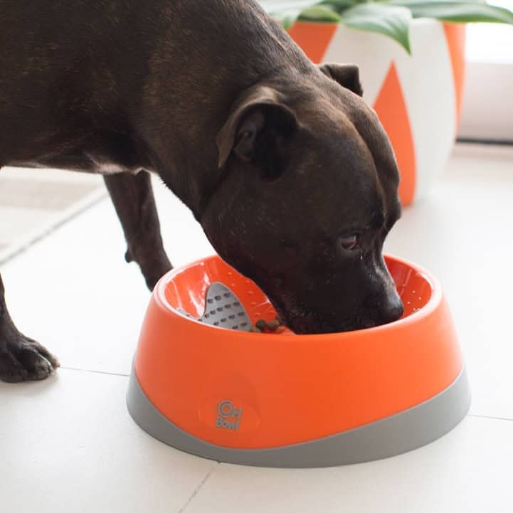 Lickimat Dog Oh Bowl - Orange