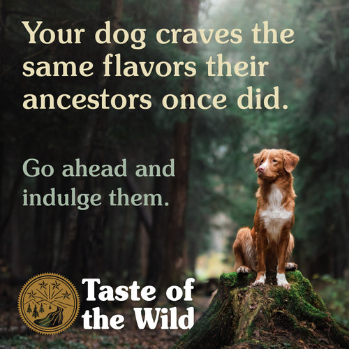 Taste Of The Wild White Fish with Tuna in Gravy For Dogs Can Food 390g x 12