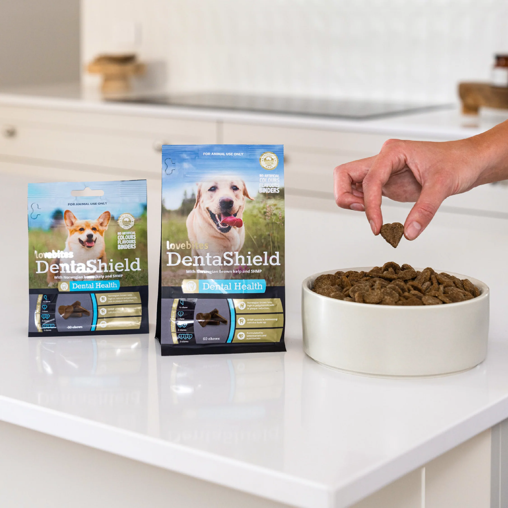 Vetafarm Lovebites Denta Shield for Dogs