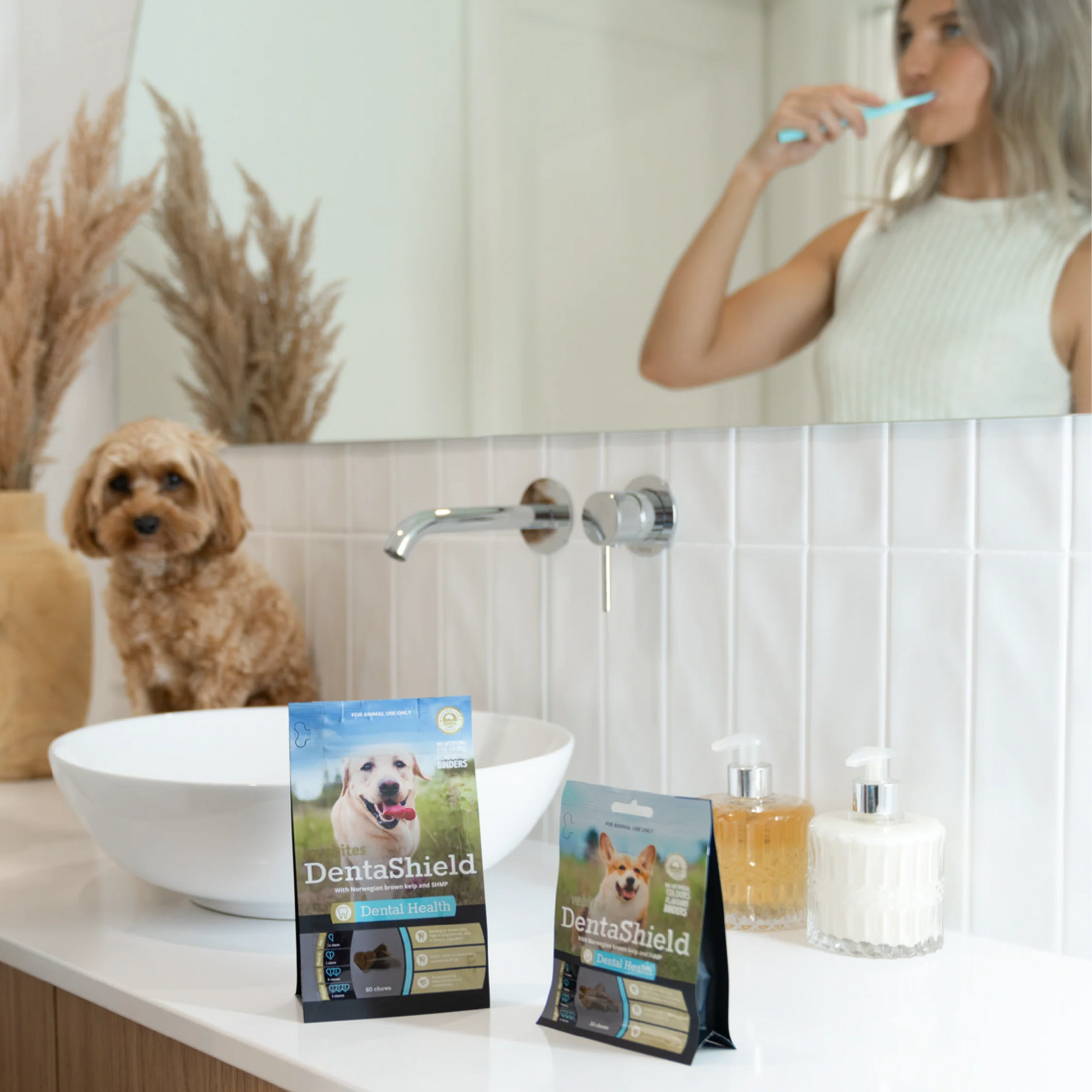 Vetafarm Lovebites Denta Shield for Dogs