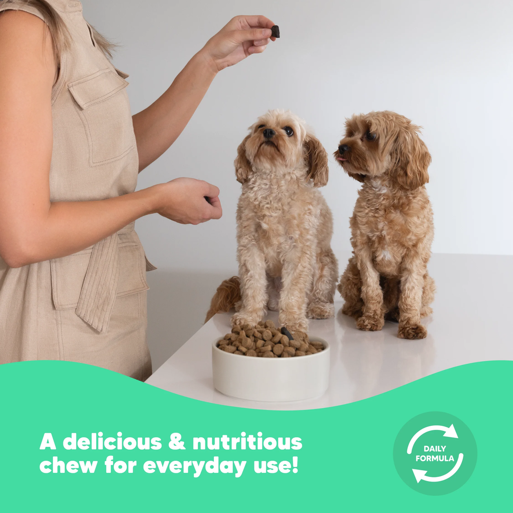 Vetafarm Lovebites FlexJoint for Dogs